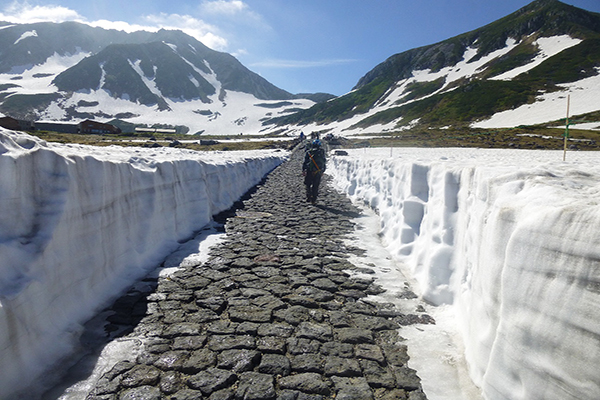 立山黑部今年雪量多，6至7月可以體驗到夏之雪