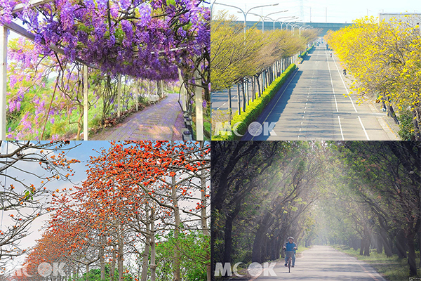 大樹交織奇幻美景  全台十大花海隧道