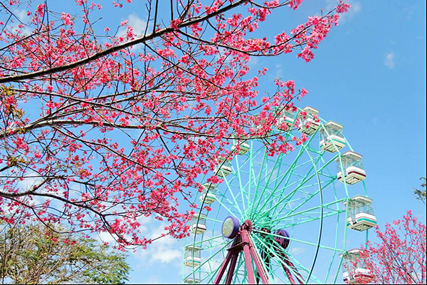 麗寶樂園 (圖／麗寶樂園)