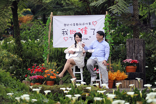 海芋季花與樹園藝