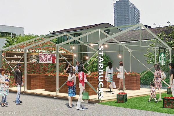 日本星巴克將打造全新草莓溫室快閃店，店內的大片草莓牆與溫室風格設計讓人驚奇。（圖／日本星巴克）