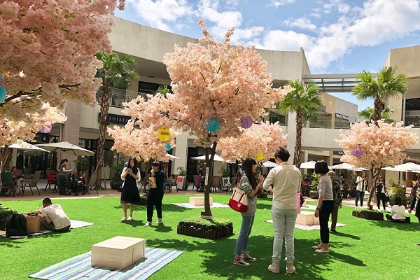 林口的三井MITSUI OUTLET PARK在中央廣場打造大型櫻花場景，在此不僅可以野餐放送還能欣賞櫻花之美。（圖／MITSUI OUTLET PARK）