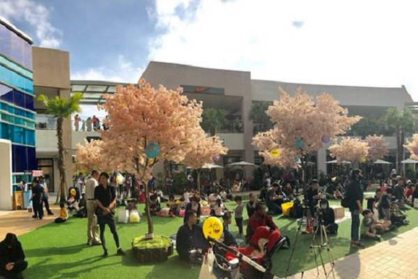 假日MITSUI OUTLET PARK邀請許多音樂表演者演出，不僅可以在櫻花樹下享受悠閒時光還能欣賞動人表演。（圖／MITSUI OUTLET PARK）