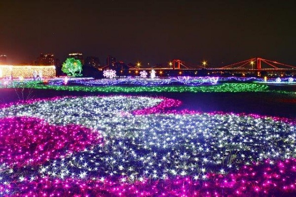 新北市政府利用17萬顆光雕在江翠礫間水岸蝴蝶公園打造光影彩蝶，夜晚點燈光彩奪目令人美不勝收（圖／新北市政府）