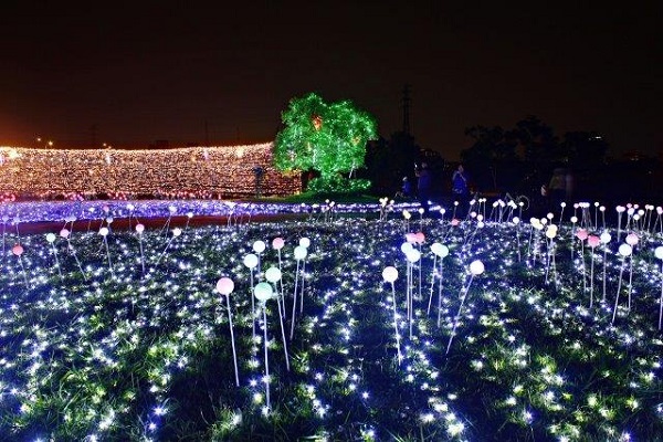 蝴蝶公園利用風車及LED燈泡裝飾，讓白天夜晚都充滿著浪漫情懷（圖／新北市政府）