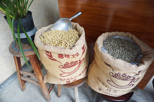 阿里山咖啡豆 (圖／嘉義縣政府)
