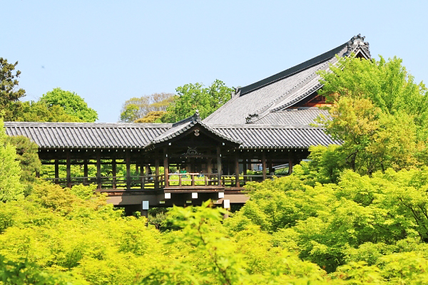 東福寺青楓 (圖／京都觀光協會)