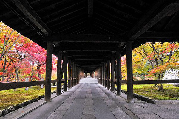 東福寺 (圖／京都文化交流會議局)