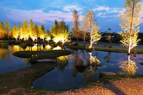 澄霖沉香味道森林館夜間景觀燈 (圖／澄霖沉香味道森林館)