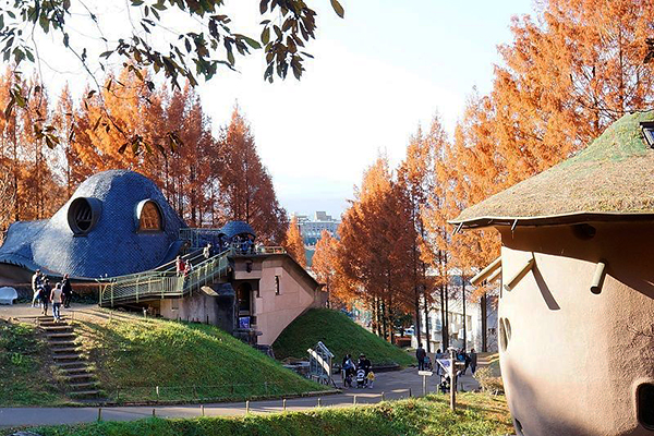 嚕嚕米公園秋天紅葉之美 (圖／トーベ・ヤンソンあけぼの子どもの森公園)