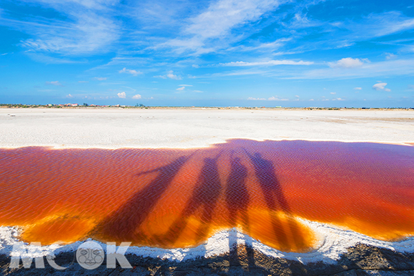 鹽灘海水蒸發後呈現鐵紅色