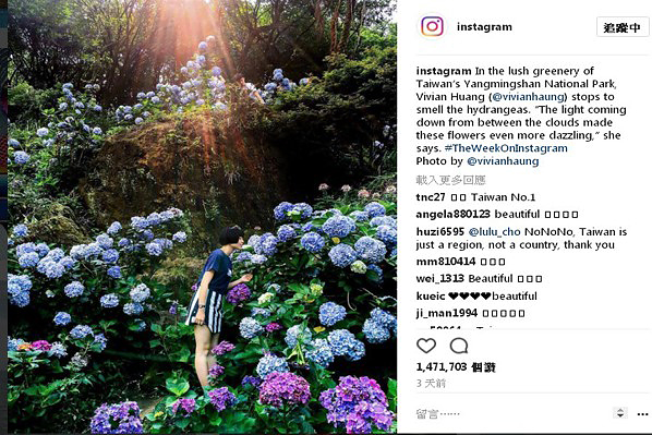 台灣網友拍攝的繡球花美景登上Instagram官方帳號 (圖／Instagram)