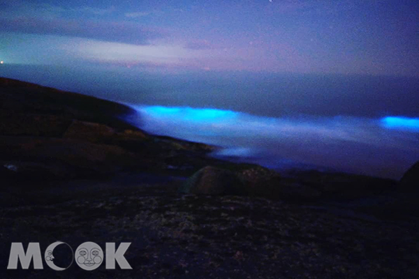 夜晚藍色螢光隨著海浪波動，彷彿電影場景
