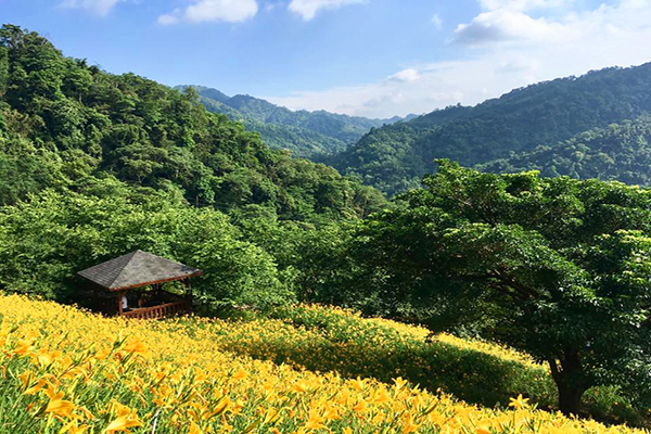 沐心泉農場有的遼闊視野 (圖／沐心泉休閒農場，以下同)