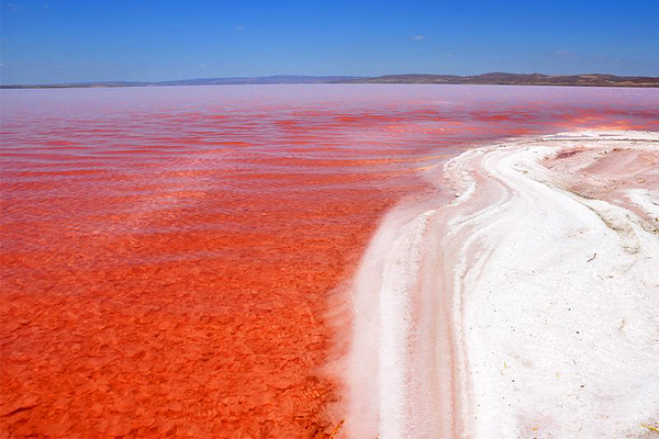 藻類增生讓原本潔白的鹽湖呈現紅色模樣 (圖／ensonhaber)