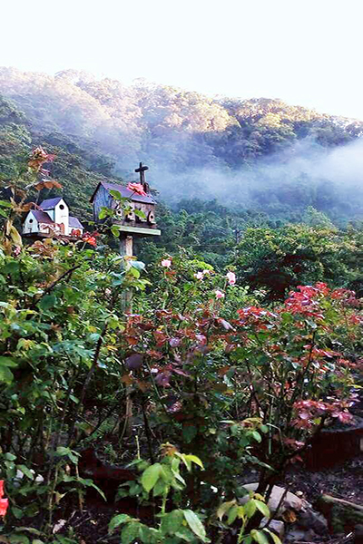 玫瑰山谷園區美景