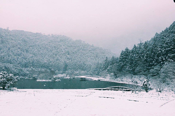 明池的雪景不輸日本冬日絕景 (圖／明池國家森林遊樂區)