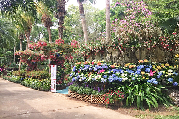 花露農場 (圖／花露農場)