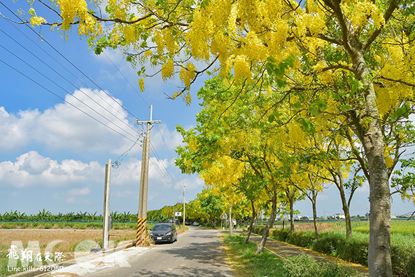 嘉義六腳蒜頭自行車道