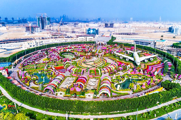 杜拜奇蹟花園是世界最大自然花園 (圖／Dubai Miracle Garden)