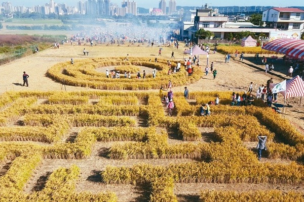 竹東員山地區打造廣達600坪的稻田迷宮。（圖／竹東地區農會）