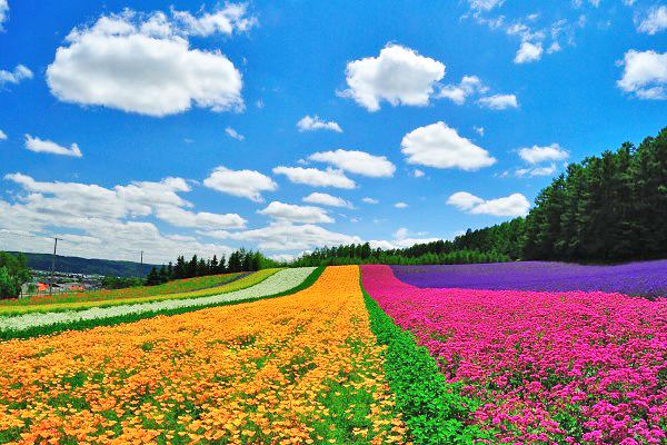 超廣角大景一次收集！北海道七大絕美景點