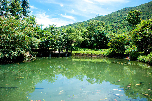 馬太鞍濕地 (圖／縱管處)