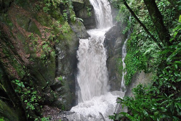 奧萬大森林公園瀑布美景 (圖／奧萬大情報站)