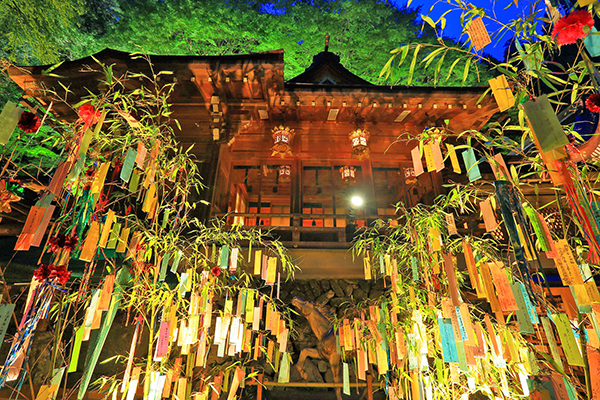 貴船神社七夕許願樹點燈 (圖／貴船神社)