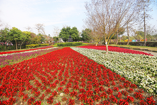 苗圃花海 (圖／費茲洛公園)