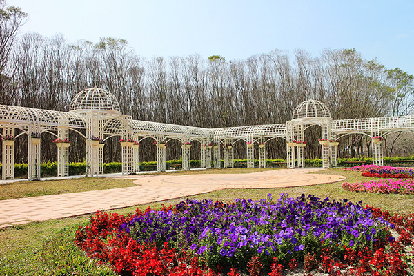 歐式花架 (圖／費茲洛公園)