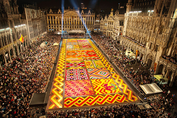 數十萬朵秋海棠鮮花拼成一個巨型花地毯