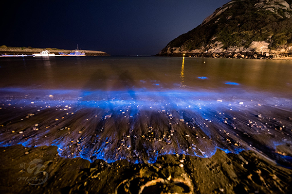 「藍眼淚」的現象來自一種夜光蟲(渦鞭毛藻)，經過海浪和自然風的拍打和刺激所產生的淡藍色螢光(圖片來源／北竿藍眼淚)