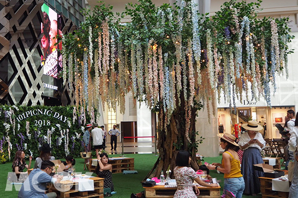 不用擔心天氣，在室內花園輕鬆野餐。