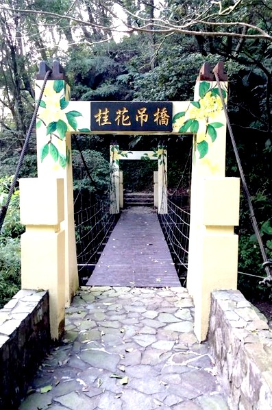 桂花吊橋。