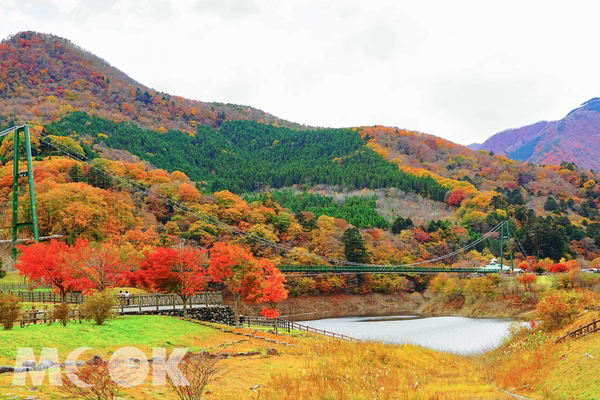 「紅葉谷大吊橋」周圍的塩原溪谷四季風景如畫，每逢秋季更有滿山遍野的紅葉。