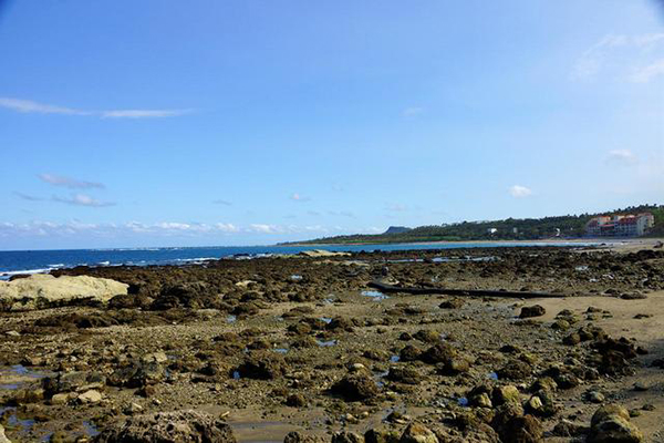 富山護漁區禁止遊客餵食魚群，和捕捉生物及帶海域內的石頭回家