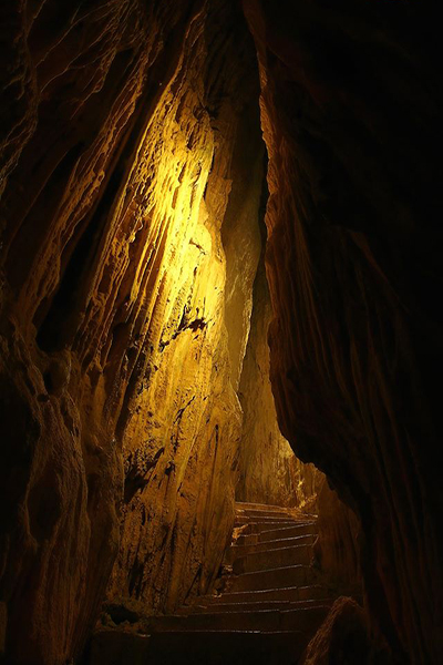 洞壁都是珍奇的鐘乳石 (圖片來源／林務局)