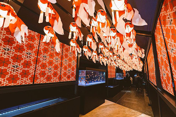 100個手工精心製作的金魚燈籠在頭頂悠遊，像是走在金魚隧道般夢幻。