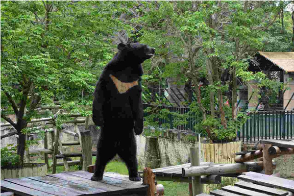 壽山動物園。基於安全考量，休園一至二周。(圖／壽山動物園)