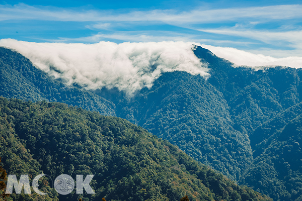 高山的雲瀑連綿十數公里長，景象壯觀至極。