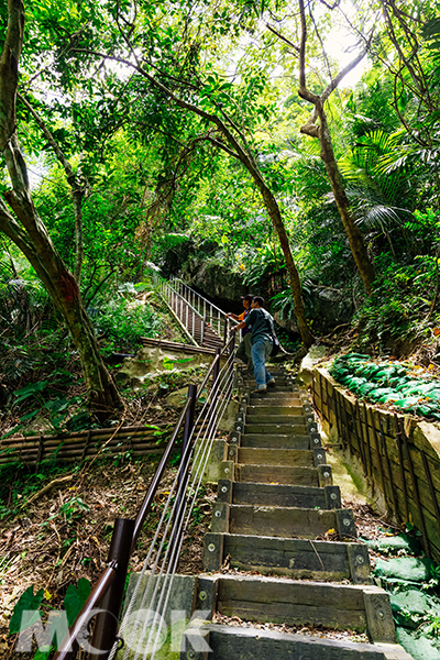 挑戰從瀑底循原路通過長春橋後的好漢坡，鍛練體力之餘，也別忘了欣賞沿途地質景觀。