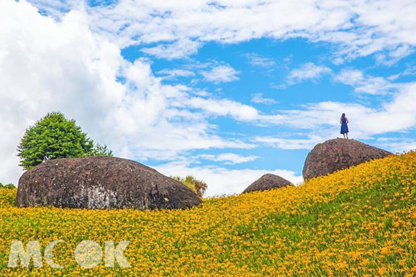 每年的８至10月最重要的賞花盛事便是金針花海的盛開。(圖／shengkai.travel)