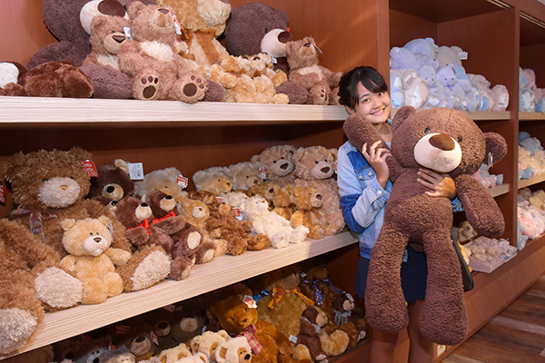 小熊博物館內有3000隻泰迪熊館藏。
