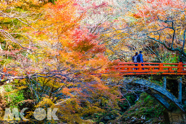 高尾山紅葉季從2018年11月1日至11月30日，為期一個月。