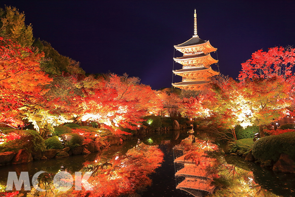 京都市南區東寺於楓葉季的夜間點燈從2018年10月27日至12月9日。