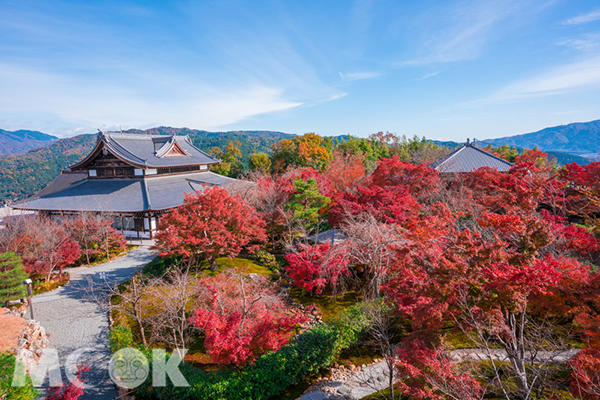 將軍塚青龍殿位處高地，能將京都市區盡收眼底，秋天還能欣賞紅葉夜間點燈。