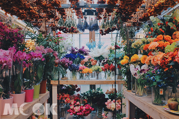 辛格花市提供了阿姆斯特丹大量的鮮花。 (圖／MOOK景點家莫菲)