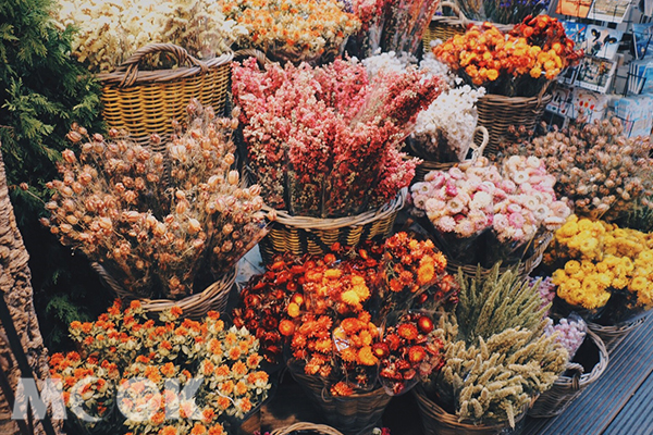 辛格花市內有許多鮮艷漂亮的乾燥花。 (圖／MOOK景點家莫菲)