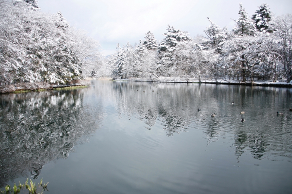 冬季雲場池，池水倒映銀白雪景，充滿奇幻美感。(圖／Hotel Tsuruya)